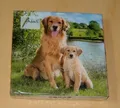 Produktbild: 20 Servietten GOLDEN RETRIEVER Hunde Welpe 1 Packung OVP Motivservietten Ambient