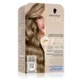 Produktbild: L'Oréal Paris Schwarzkopf Creme Supreme Hair Color Shade 816 Cool Ash Blonde (Blond) (64423747)