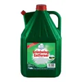 Produktbild: Robbyrob Grünbelagsentferner gebrauchsfertig 5L