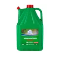 Produktbild: Grünbelagentferner Algenentferner Reinigungsmittel 5 Liter Moosentferner