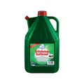 Produktbild: Robbyrob Grünbelagsentferner gebrauchsfertig 5L