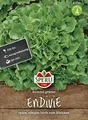 Produktbild: Sperli-Samen Winterendivien, Escariol grüner
