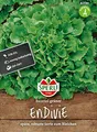 Produktbild: 82590 Sperli Premium Endiviensalat Samen | Endivien Samen | Späte u. Robuste Sorte | Endivien Salat | Endivie zum Bleichen