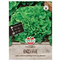 Produktbild: Sperli Saatgut Endivie Escariol grüner