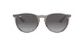 Produktbild: Ray-Ban Unisex Rb4171 Erika Sonnenbrille, Transparent Grey, 54