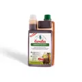 Produktbild: Ewalia - Immunvitalsaft für Pferde 1 L