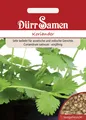 Produktbild: Koriander Saatgut von Dürr-Samen
