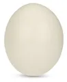 Produktbild: NaDeco Bastelnaturmaterial Straußenei aus Polystone, Höhe ca. 15 cm, Durchmesser ca.12cm Dekoei