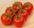 Produktbild: Kirsch-Tomaten Philovita F1 Samen – Süße Mini-Tomaten für den Anbau