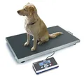 Produktbild: KERN Plattformwaage EOS 300K100XL (Wägebereich max. 300 kg, Ablesbarkeit 100 g, Reproduzierbarkeit 100 g, Linearität 200 g, Tierwaage, Veterinärwaage, extra große Wägeplatte)