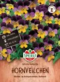 Produktbild: SPERLI Hornveilchensamen Johnny Jump Up Viola x cornuta 80 Pflanzen