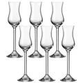 Produktbild: Leonardo Daily Grappa-Glas 6er Set, Schnaps-Glas mit Stiel, spülmaschinenfeste Digestif-Gläser, Höhe 20 cm, 10 cl, 063319