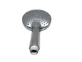 Produktbild: HANSGROHE Duschkopf Raindance 26531000