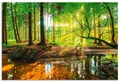 Produktbild: Artland Wandbild Wald mit Bach, Wald (1 St), als Alubild, Leinwandbild, Poster in verschied. Größen