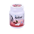 Produktbild: miradent Xylitol Drops Kirsche 60g Dose | Zahnpflege Lutschbonbons | zuckerfrei | fruchtiger Geschmack | kariespräventiv | vegan | glutenfrei