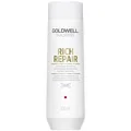 Produktbild: Goldwell Dualsenses Rich Repair Shampoo 100ml Regenerierend Glanz Parabenfrei