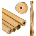 Produktbild: Relaxdays - Bambusstäbe 150cm, Aus Natürlichem Bambus, 25 Stück, Bambusstangen Als Rankhilfe Oder Deko, Zum Basteln, Natur