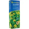 Produktbild: Gründünger Gelbsenf Sinapis Alba, Inhalt 500 G Keine Angabe - Kiepenkerl