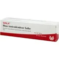 Produktbild: RHUS TOXICODENDRON SALBE 30 g