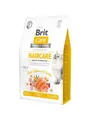 Produktbild: Brit Care Cat GF Haircare Healthy+Shiny Coat 2kg 8595602540884