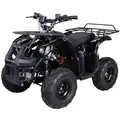 Produktbild: Actionbikes Motors Kinder Quad Elektro ATV S-8 Farmer | 𝟒𝟖 Volt 𝟭𝟬𝟬𝟬 Watt Motor bis 𝟐𝟬 km/h - Kinderquad - Pocket Quad - Scheibenbremsen - Miniquad - Für Kinder ab 8 Jahren (Schwarz)
