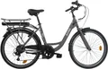 Produktbild: LLobe E-Bike Cityrad City E-Bike 26
