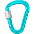 Produktbild: Edelrid HMS Strike Screw Karabiner (Größe One Size, tuerkis)