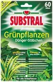Produktbild: Substral Dünger-Stäbchen für Grünpflanzen, 60 Stück - mit Eisen-Plus und 2 Monate Langzeitwirkung, green