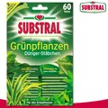 Produktbild: Substral 60 Stück Grünpflanzen-Düngerstäbchen Eisen Wachstum Pflege Ficus Kentia