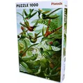 Produktbild: Piatnik Haeckel - Kolibris (1000 Teile) (5528)
