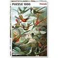 Produktbild: PIATNIK Kolibris Puzzle 1000 Teile