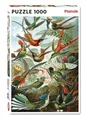 Produktbild: Piatnik 5528 - Haeckel Kolibris 1.000 Teile Puzzle