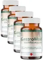 Produktbild: GastroMod Probiotika 14 Bakterienstämme + Inulin zur Darmkur - Forum Vita®