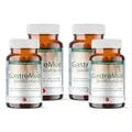 Produktbild: GastroMod Darmflora Kapseln - Probiotika für Darmkur und Darmsanierung - Breitband Darmbakterien + Inulin *Experte für Darmgesundheit seit 25 Jahren