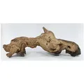 Produktbild: Deggelbam Aquarium Mopani Wurzel Eisenholzwurzel Aquarium versch. Größen S-XL, Echtholzwurzel zur Aquariumdekoration, Aquascaping Größe_L