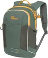 Produktbild: Jack Wolfskin Kids Moab Jam Hedge Green Outdoor-Rucksack