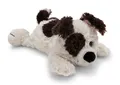Produktbild: Nici Kuscheltier Hund weiß/braun liegend 20 cm Stoffhund