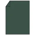 Produktbild: Rössler Papier 220701571 Coloretti Briefbogen - A4, 80g, 10 Blatt, forest