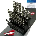 Produktbild: WELIQU Metallbohrer Set HSS-G M2 - Spiralbohrer Set - 25-teilig - Hochwertige Bohrer - 1-13mm, 0,5mm Schritte - Selbstzentrierend für Stahl, Eisen, Alu, Messing, Bronze, Gusseisen usw.