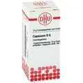 Produktbild: Capsicum D6 Globuli