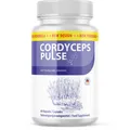 Produktbild: Cordyceps Vitalpilz Kapseln