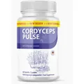 Produktbild: Cordyceps Pulse (60 Kapseln)