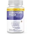 Produktbild: Cordyceps Pulse Kapseln Cordyceps Pulse Kapseln | Für deine körperliche Balance | Für Männer und Frauen | 60 Kapseln