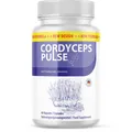 Produktbild: Cordyceps Pulse Kapseln | Für deine körperliche Balance | 60 Kapseln
