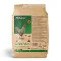 Produktbild: Gurlite Pulver (25l / 2,5kg)