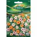 Produktbild: Schwarzäugige Susanne,  Pastell Selektion