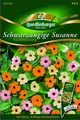 Produktbild: Schwarzäugige Susanne Pastellmischung Samen von Quedlinburger Saatgut