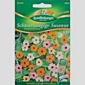 Produktbild: Schwarzäugige Susanne Pastellmischung Kletterpflanze   Samen