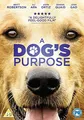 Produktbild: A Dog's Purpose [DVD] [2017]