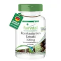 Produktbild: fairvital Rosskastanien-Extrakt 300mg, 90 Kapseln, schluckfreundlich, HOCHDOSIERT mit 20% Aescin, Aesculus hippocastanum, VEGAN